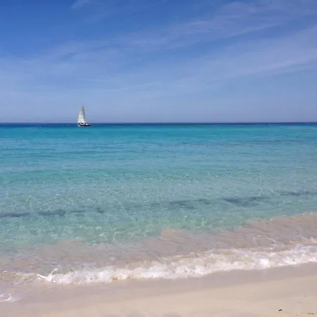 Domaine A Mortella T2